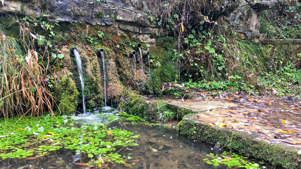 DÍA MUNDIAL DEL MEDIO AMBIENTE: TÚ TAMBIÉN PUEDES AYUDAR