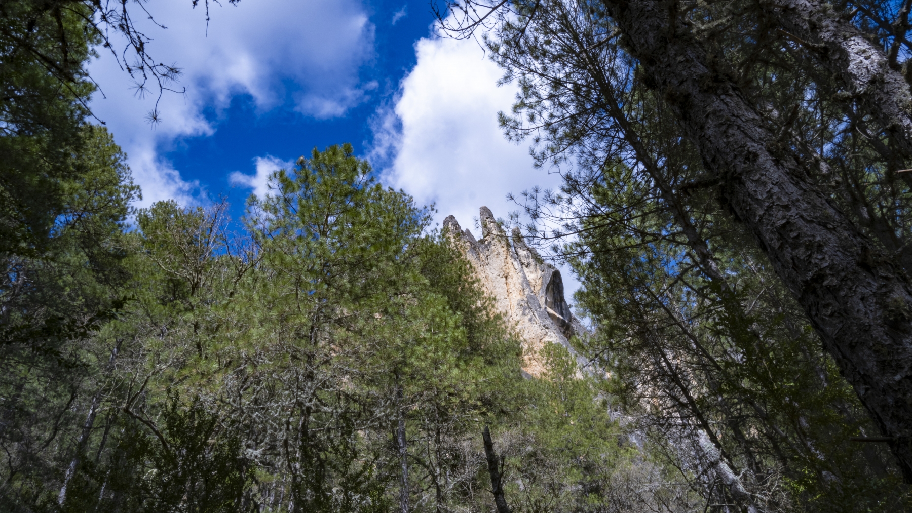 Imagen Estrecho de Arroyo Frio