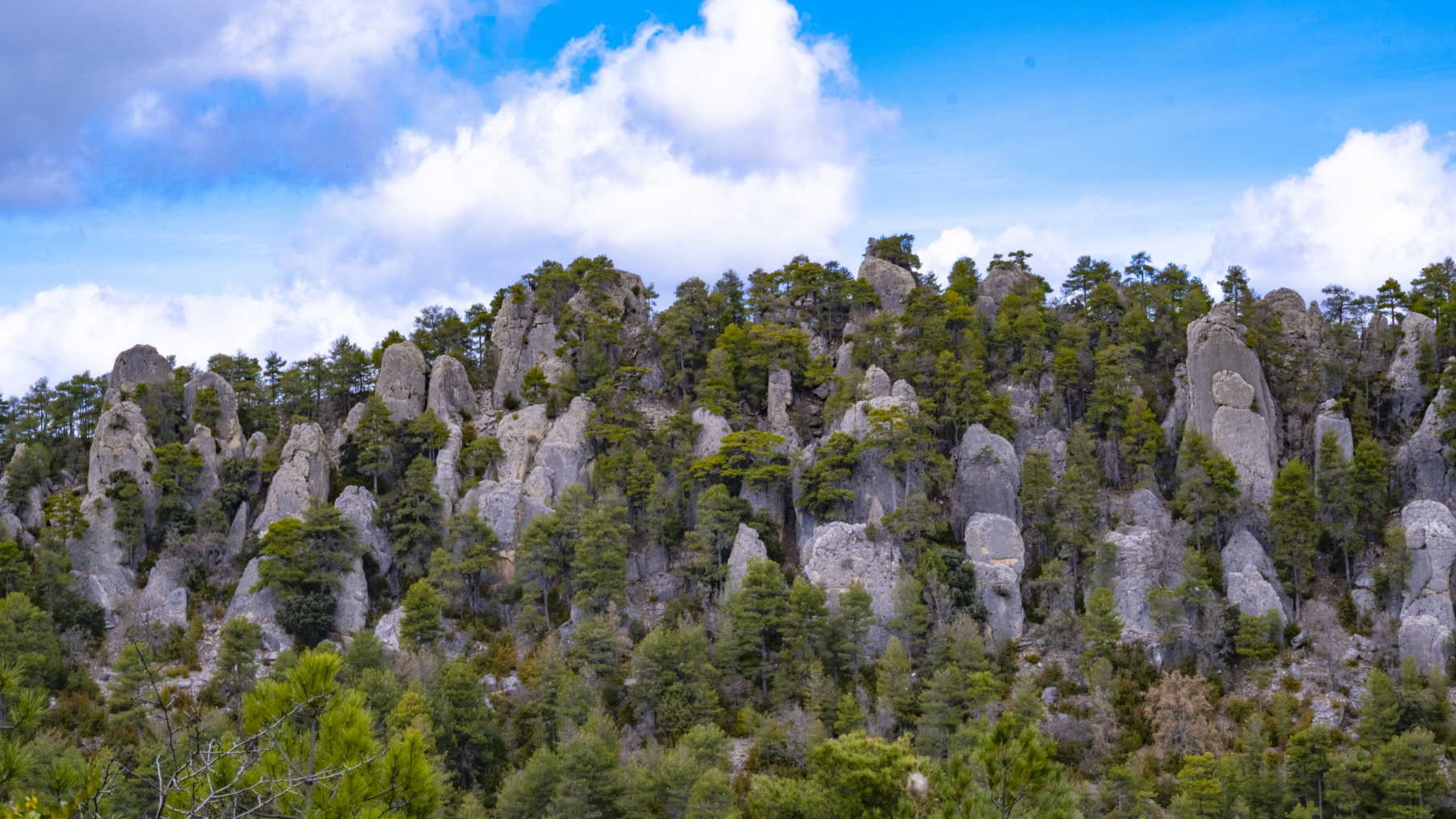 Imagen Las Corralizas