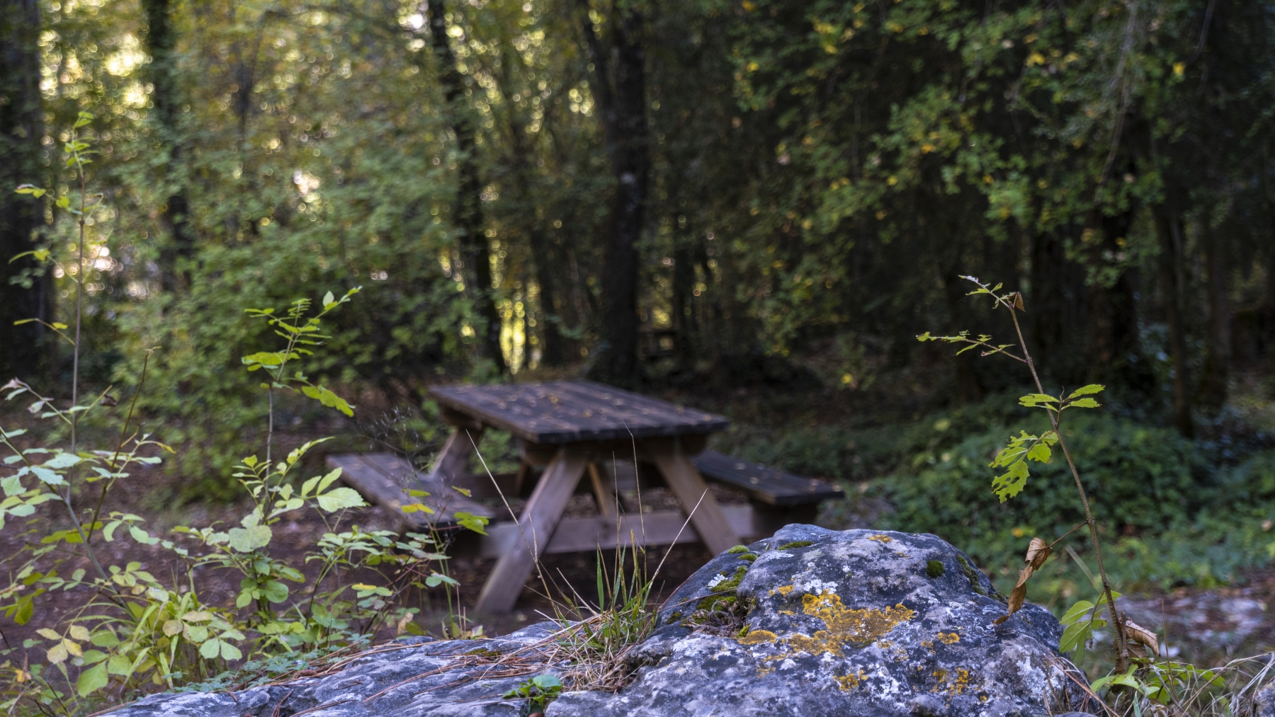 Imagen Fuente de los Tilos