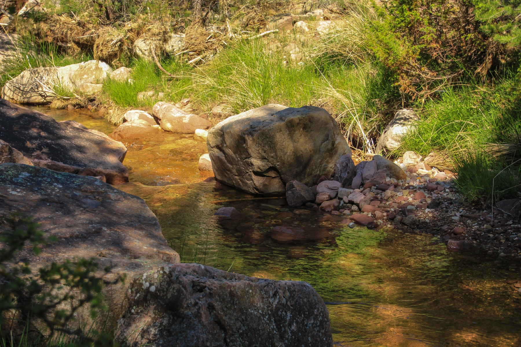 Imagen Pozo Batanero