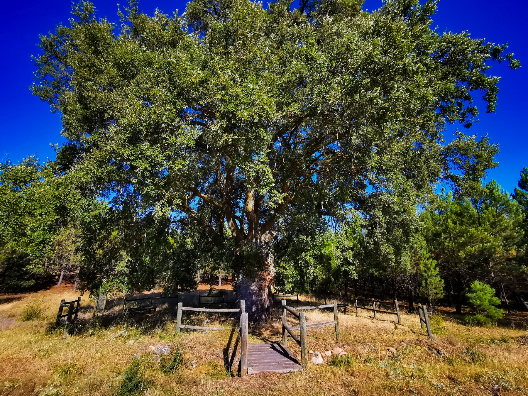 Imagen El Dios de Pajares