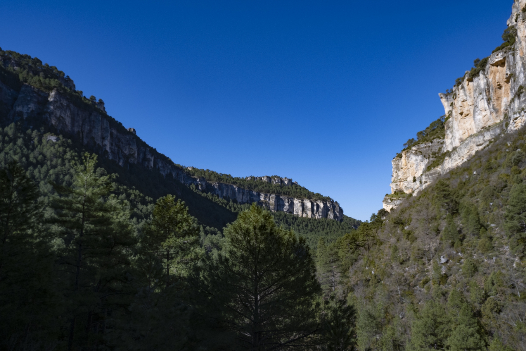 Imagen Hoz de Tragavivos