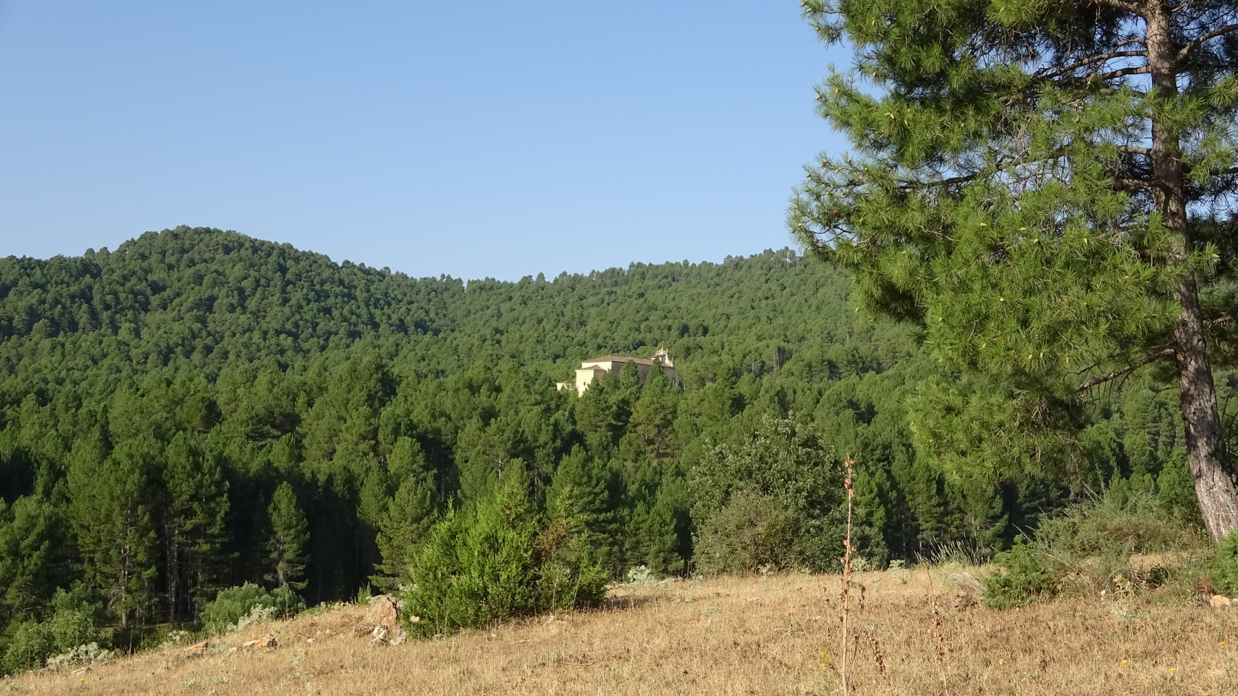 Imagen Ermita Nuestra Señora de los Hoyos