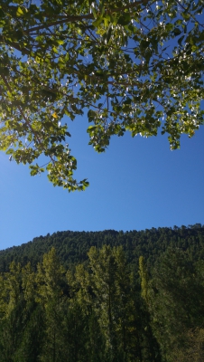 Carretera tragacete Masegosa