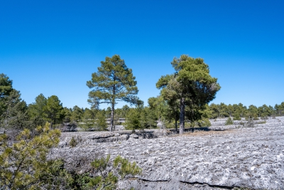 Ciudad Encantada. Cuenca.-