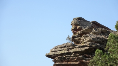 Miradores. Corbeteras. Pajaroncillo