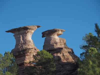 Corbeteras. Pajaroncillo