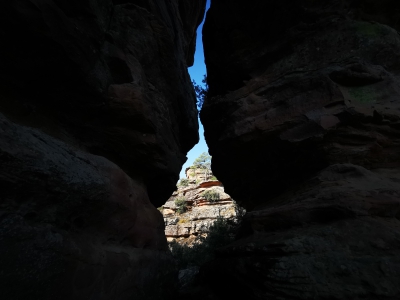 Corbeteras. Pajaroncillo__