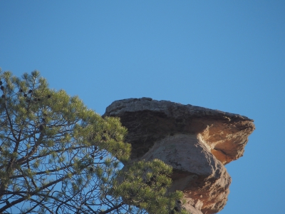 Corbeteras. Pajaroncillo