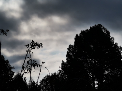 Lagunas de Cañada__