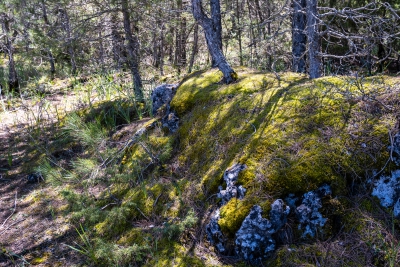 Hoz del Cambron. Valdecabras.-