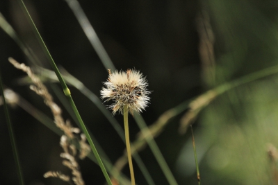Nacimiento del Rio Cuervo. Cuenca_