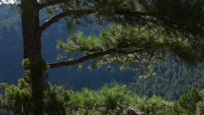 Entre Herreria y Carrascosa