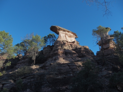 Corbeteras. Pajaroncillo