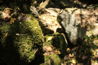Los Casares. Valdemoro de la Sierra_ Los Casares. Valdemoro de la Sierra_