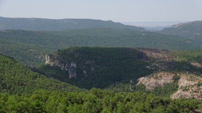 Mirador del Aguila. Carrascosa de la Sierra.