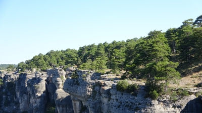 Mirador del Pico del Tio Cogote. Las Majadas