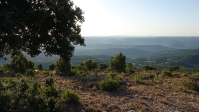 El Pozuelo. Panoramica_