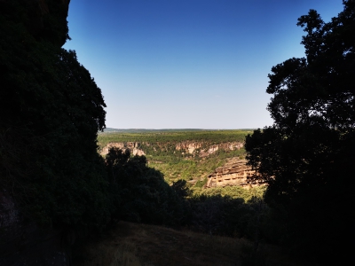 Miradores. Corbeteras. Pajaroncillo__