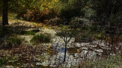 Laguna del Marquesado