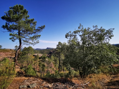 Boniches. Ceñajo del Arte__