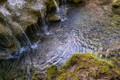 Nacimiento del Cuervo. Cuenca.-