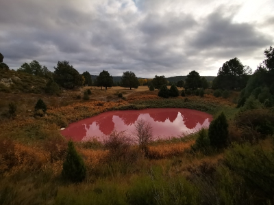 Lagunas de Cañada__