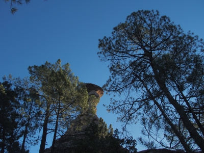 Corbeteras. Pajaroncillo