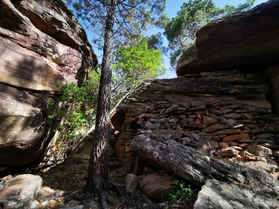 Villar del Humo. Selva Pascuala__ Villar del Humo. Selva Pascuala__