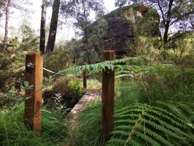 Villar del Humo. Selva Pascuala__