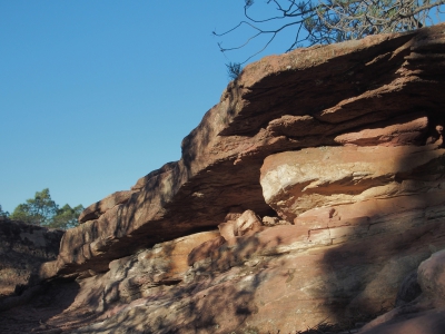 Corbeteras. Pajaroncillo