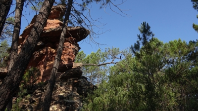 Corbeteras. Pajaroncillo