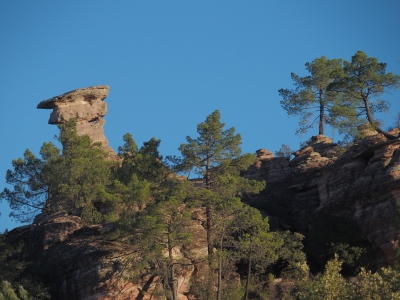 Corbeteras. Pajaroncillo
