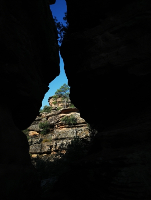 Miradores. Corbeteras. Pajaroncillo__