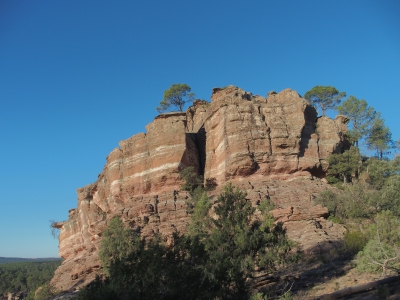 Corbeteras. Pajaroncillo