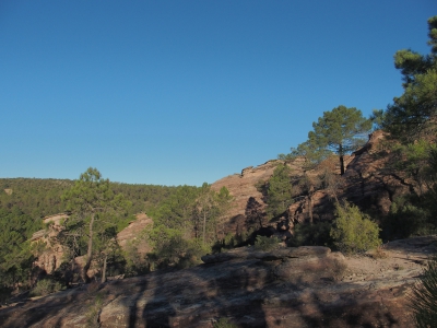 Corbeteras. Pajaroncillo