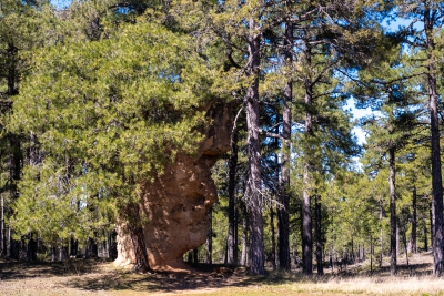 Ciudad Encantada. Cuenca.-