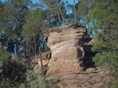 Corbeteras. Pajaroncillo