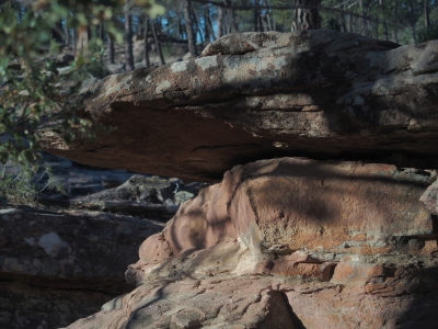 Corbeteras. Pajaroncillo