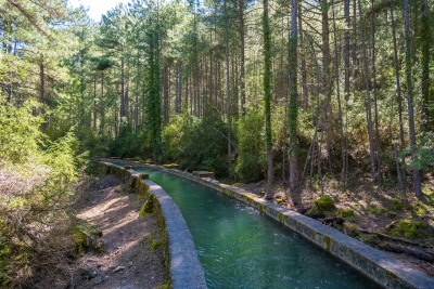 Hoz de Tragavivos. Carrascosa de la Sierra-