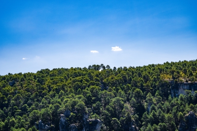 Hoz de Beteta. Beteta.-