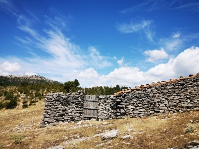 Zafrilla__ Zafrilla__