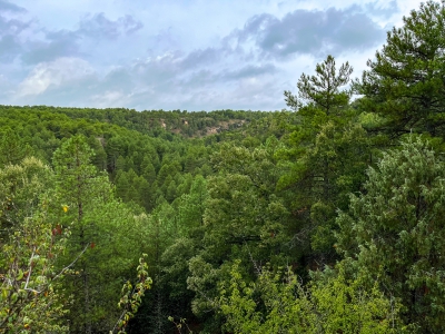 Las Torcas. Cuenca.- Las Torcas. Cuenca.-