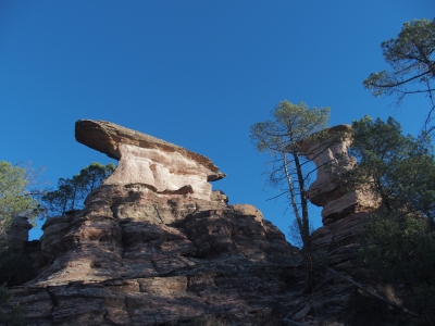 Corbeteras. Pajaroncillo