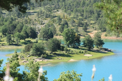 Embalse de La Toba. Uña_ 