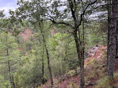 Las Torcas. Cuenca.- Las Torcas. Cuenca.-