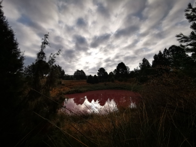 Lagunas de Cañada__