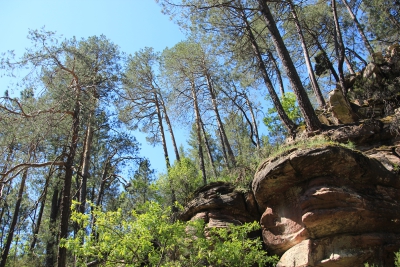 Valdemoro de la Sierra. Pozo Batanero_ Valdemoro de la Sierra. Pozo Batanero_