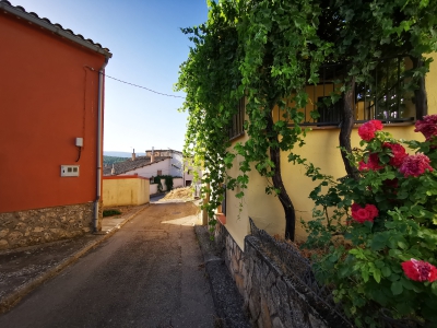 Castillejo de la Sierra__